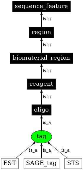 Graph image for SO:0000324