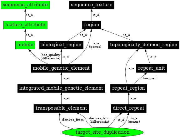 Graph image for SO:0000434