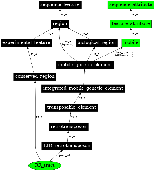 Graph image for SO:0000435