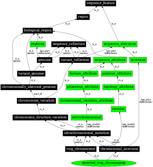 Graph image for SO:0000439