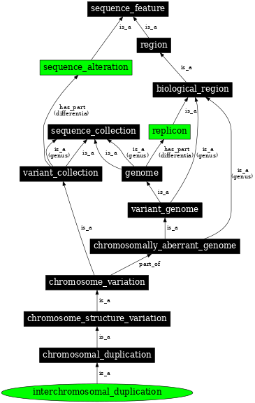 Graph image for SO:0000457
