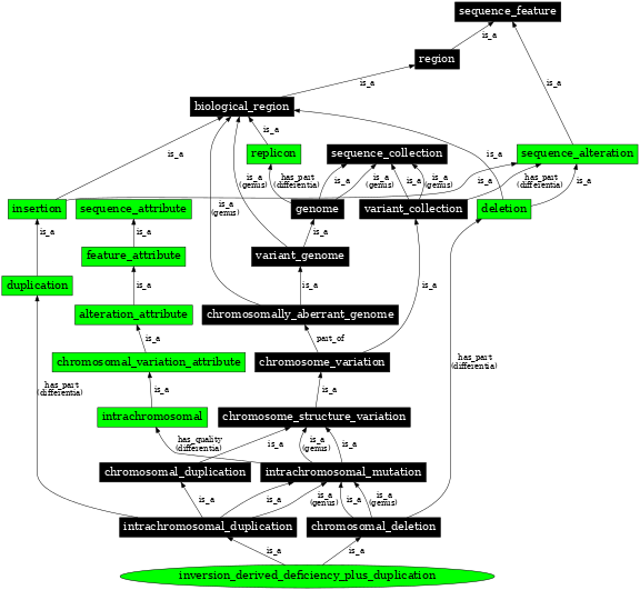 Graph image for SO:0000465