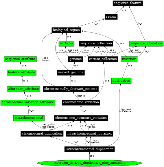 Graph image for SO:0000549