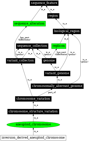 Graph image for SO:0000550