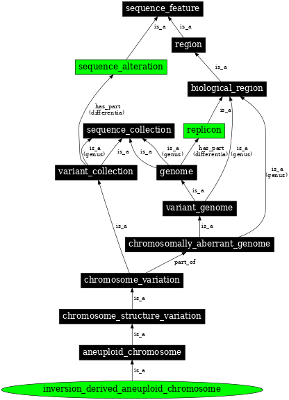Graph image for SO:0000567