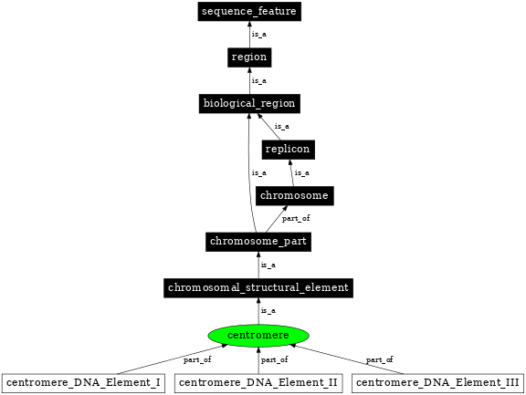 Graph image for SO:0000577