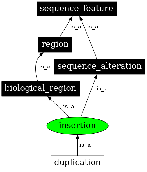 Graph image for SO:0000667