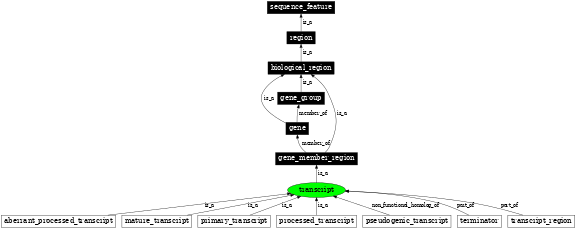 Graph image for SO:0000673
