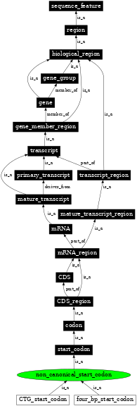 Graph image for SO:0000680