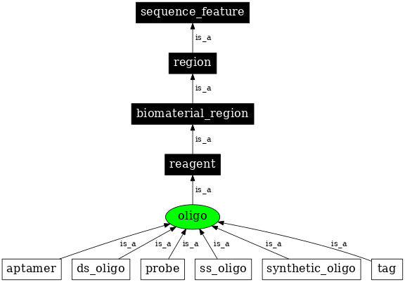 Graph image for SO:0000696