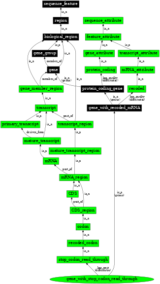 Graph image for SO:0000697