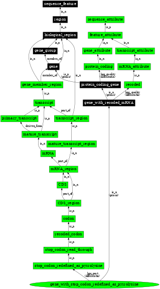 Graph image for SO:0000698