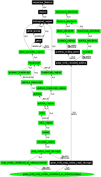 Graph image for SO:0000710