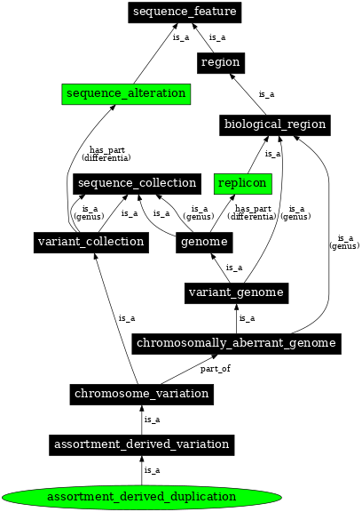 Graph image for SO:0000800
