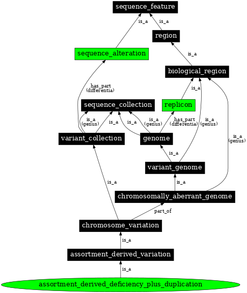Graph image for SO:0000801