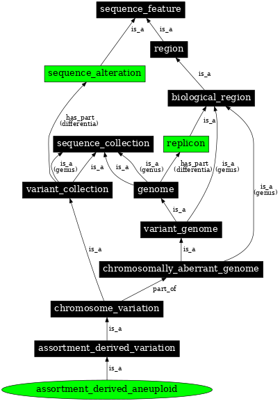Graph image for SO:0000803