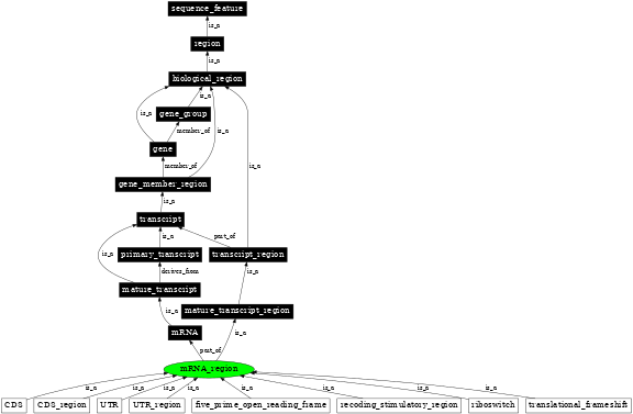Graph image for SO:0000836
