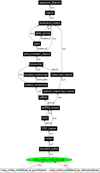 Graph image for SO:0000883