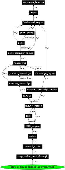 Graph image for SO:0000884
