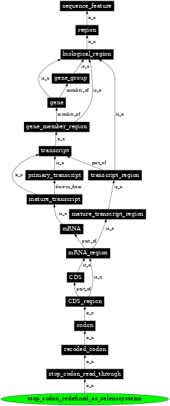Graph image for SO:0000885
