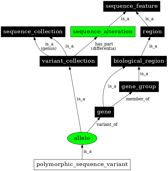 Graph image for SO:0001023