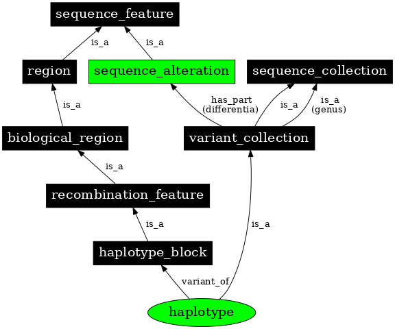 Graph image for SO:0001024