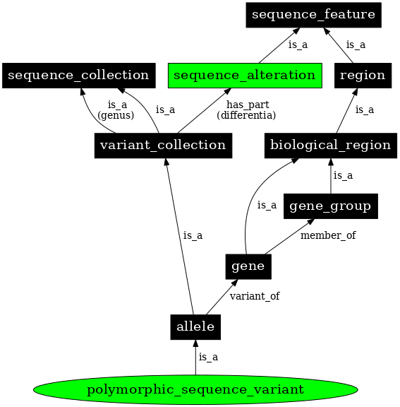 Graph image for SO:0001025