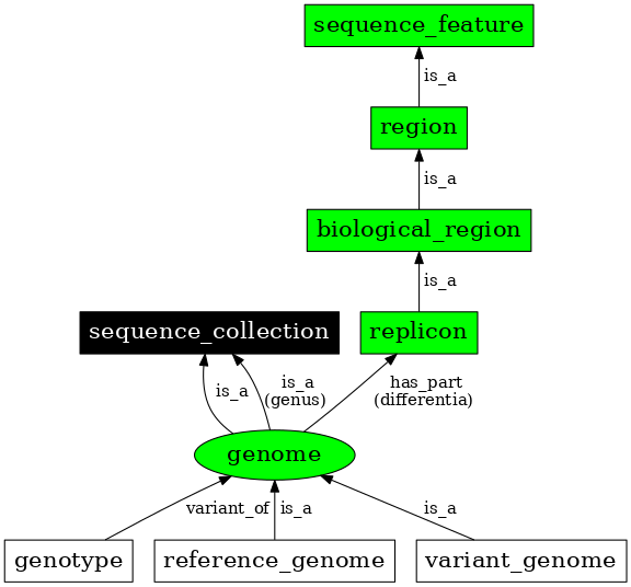 Graph image for SO:0001026