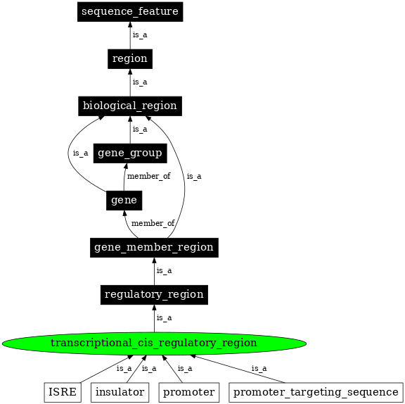 Graph image for SO:0001055