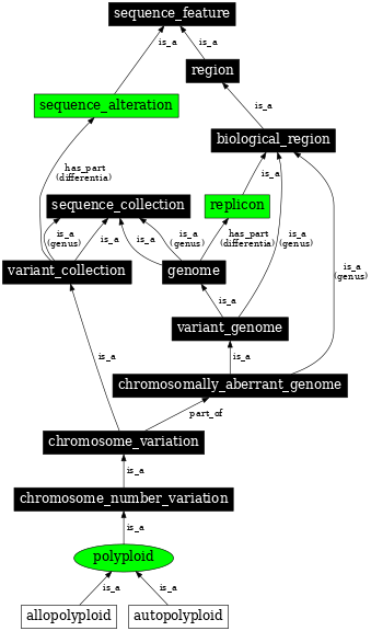 Graph image for SO:0001254