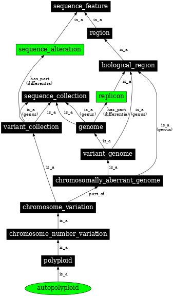 Graph image for SO:0001255