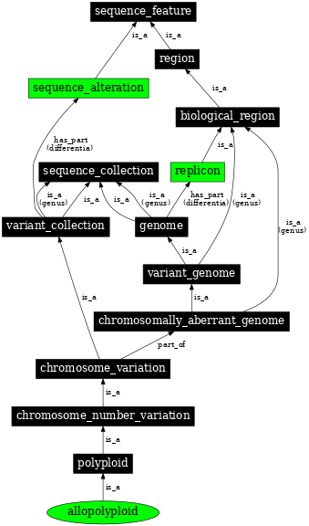 Graph image for SO:0001256