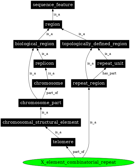 Graph image for SO:0001484