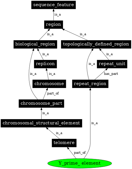 Graph image for SO:0001485