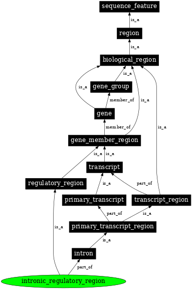 Graph image for SO:0001492