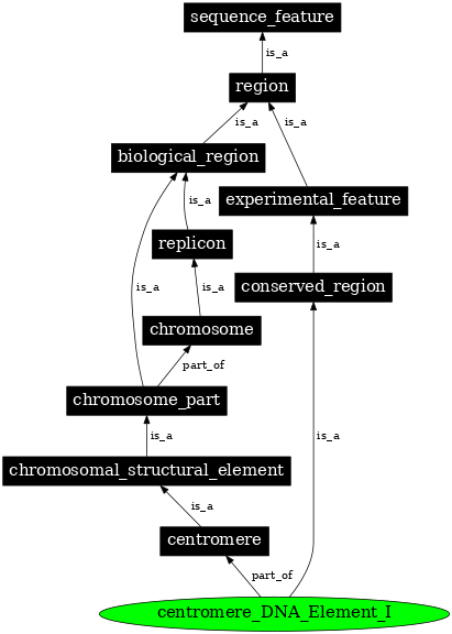 Graph image for SO:0001493