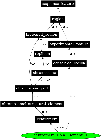 Graph image for SO:0001494
