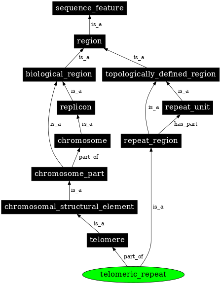 Graph image for SO:0001496