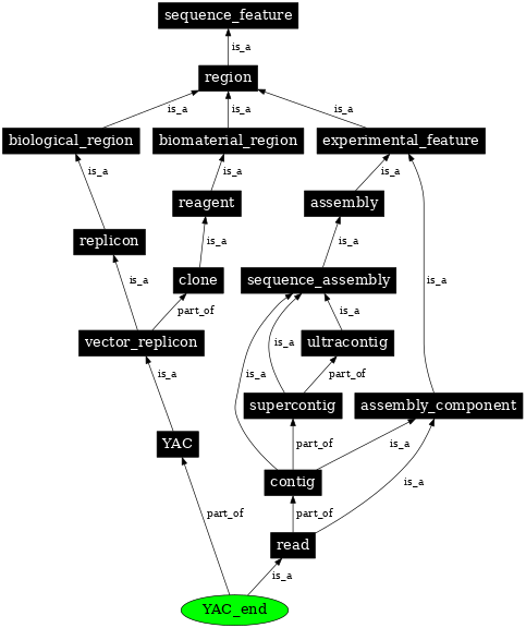 Graph image for SO:0001498