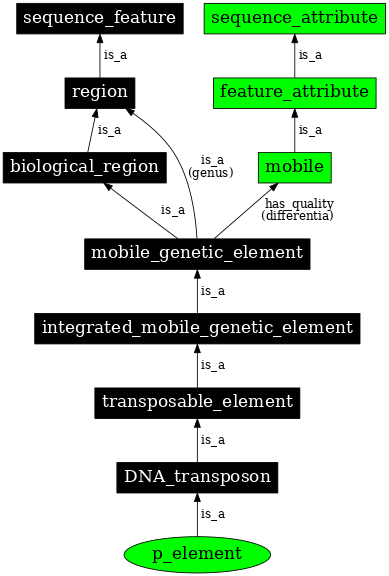 Graph image for SO:0001535