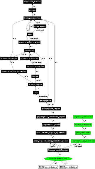 Graph image for SO:0001702