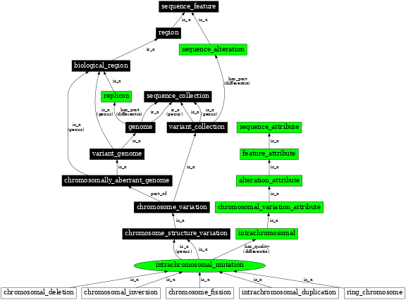 Graph image for SO:1000028