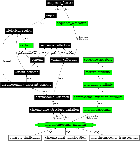 Graph image for SO:1000031