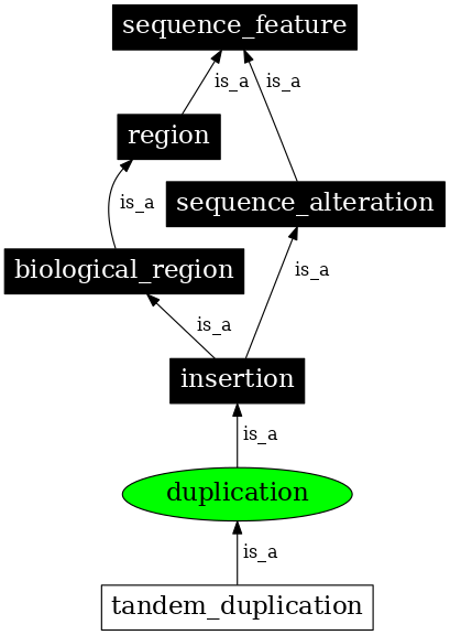Graph image for SO:1000035