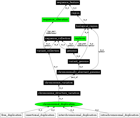Graph image for SO:1000037