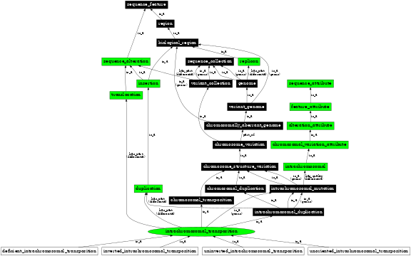 Graph image for SO:1000041