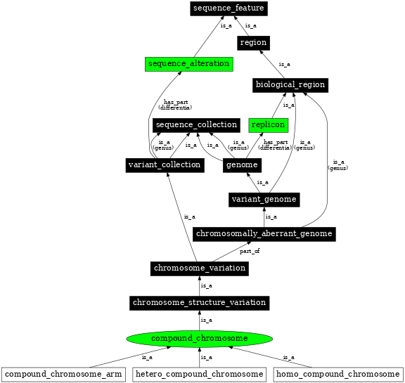 Graph image for SO:1000042