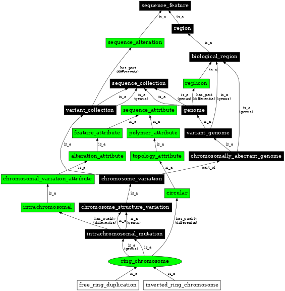 Graph image for SO:1000045