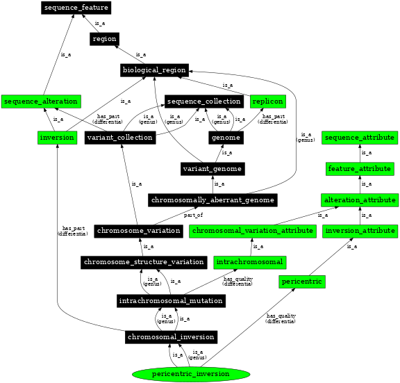 Graph image for SO:1000046