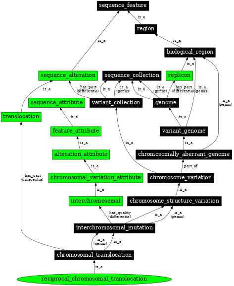 Graph image for SO:1000048